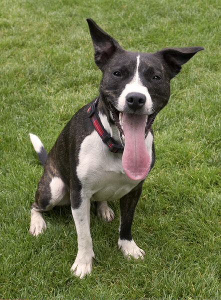 Have I got the longest tongue in the world!