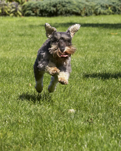 And, take off!!