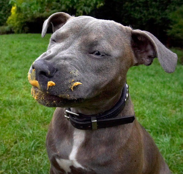 I know, I'm one mucky pup, but it's soooooooooo good