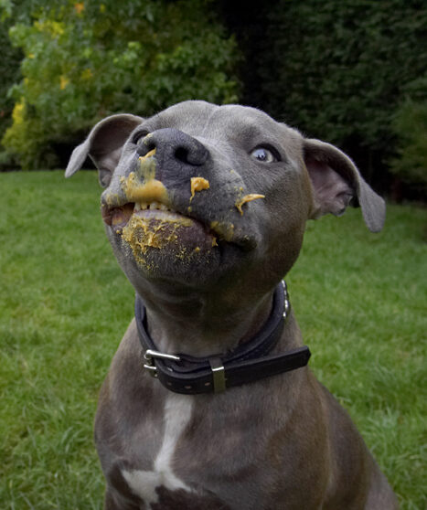 I know, I know, I'm a mucky pup........