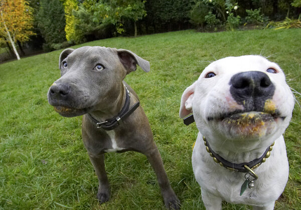 Go on, smile