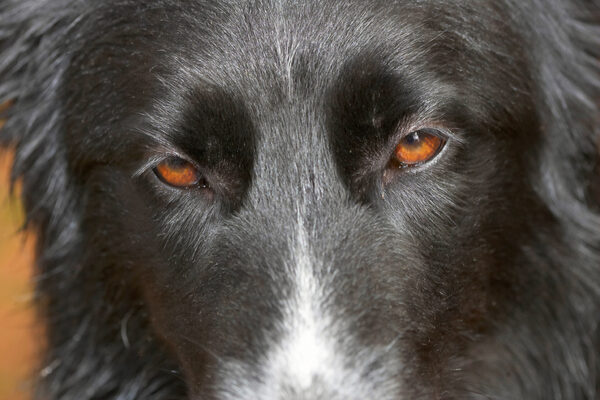 Yeah, I'm watching you