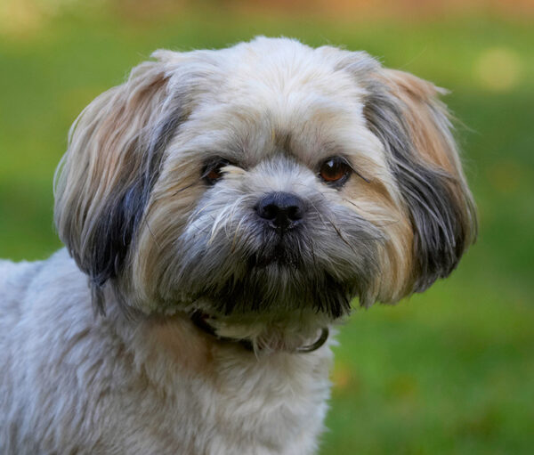 Butter wouldn't melt ........