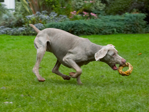 Wot a catch!