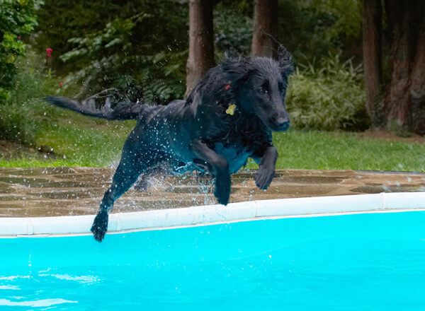 Take-off