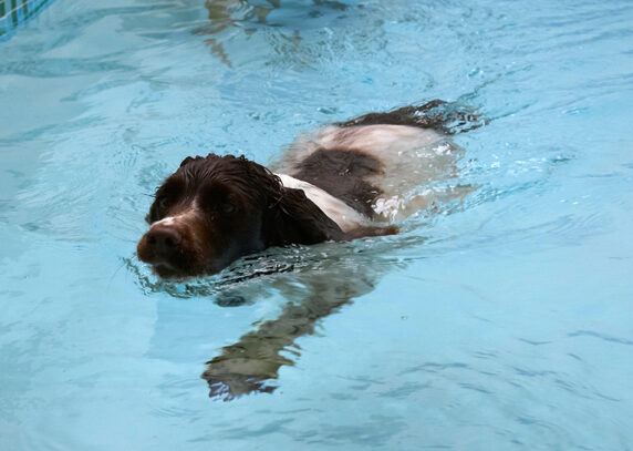 OK, Mom, I'm swimming