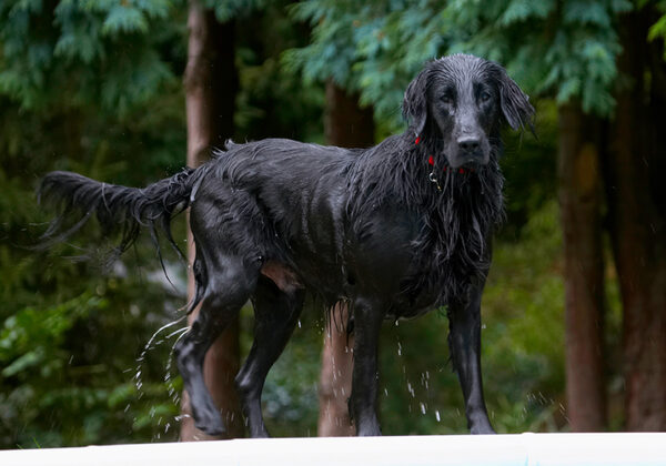 Oooh, I feel a bit wet