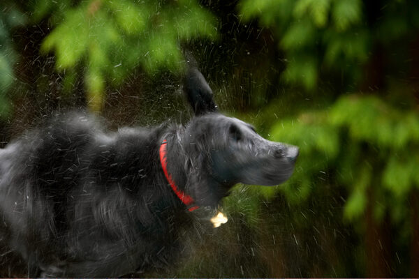A whizz that way