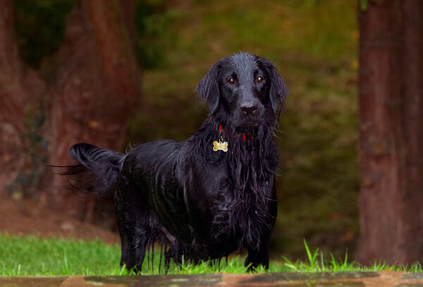Gosh, talk about soggy