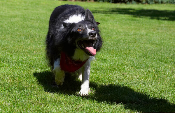 Go on ...... throw!