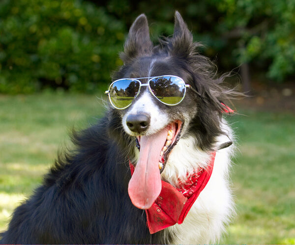 I'm ready for GQ magazine