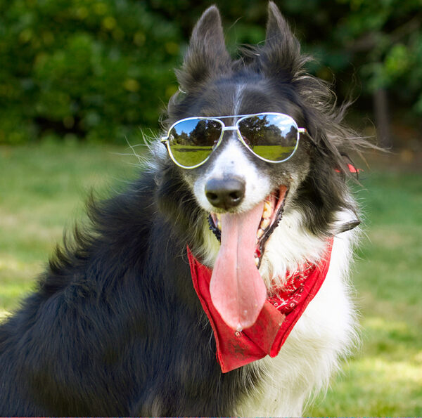 Cool dude