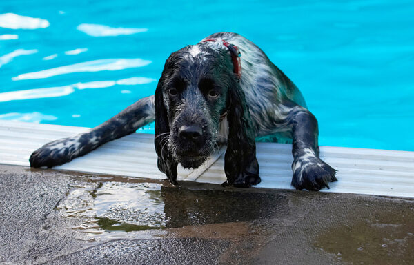 Get me outta here!