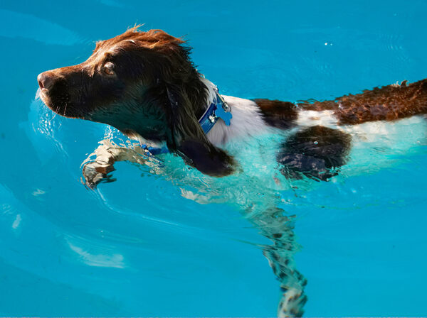 I'm such a water baby