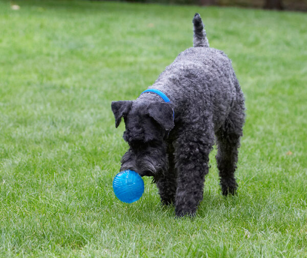That's a low ball
