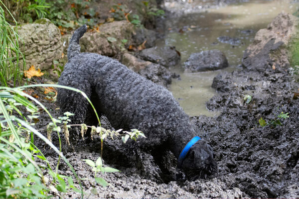 Oh come on it's got to be in here somewhere