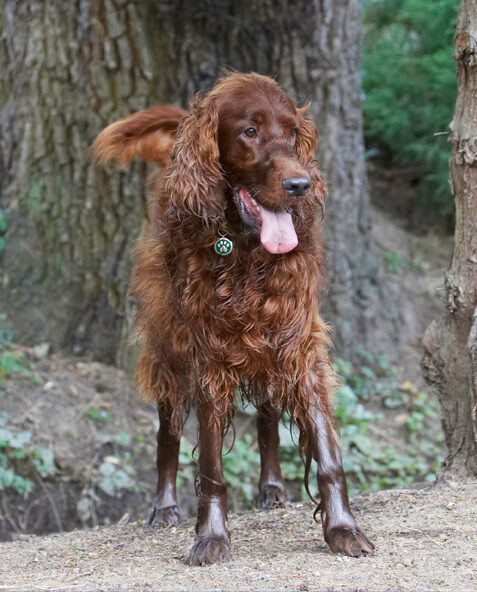 Doncha think this mud matches my colouring?!