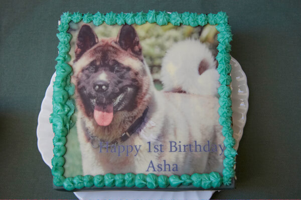 Asha's first birthday cake
