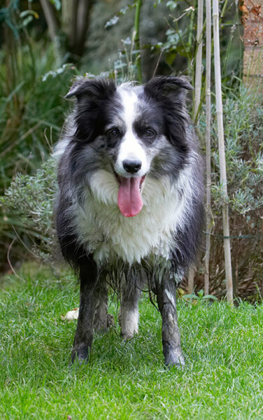 What can I say - I like muddy streams