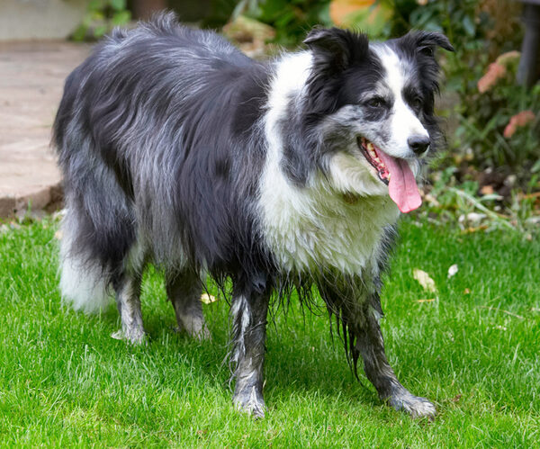 Whaddya mean I need a bath!