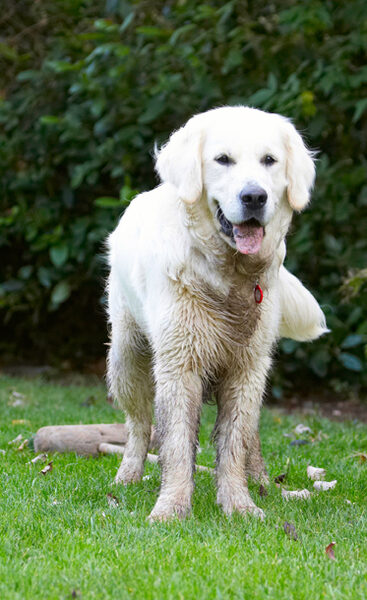 That's a boring toy