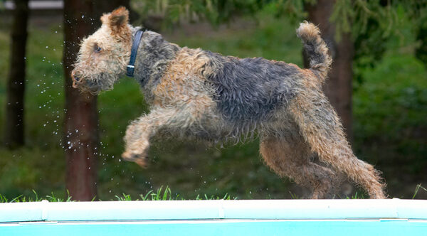 I'm flying