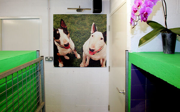 Photo Canvas Photograph of Tapa and Kiko