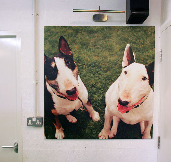 Canvas Photo of Tapa and Kiko
