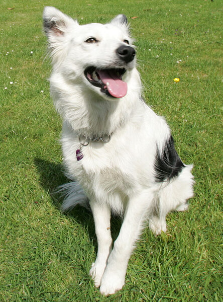 Bella