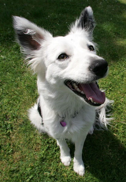 Bella