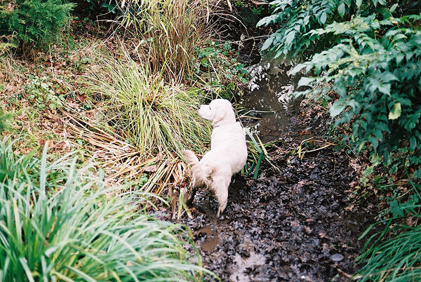 Joe in his favourite place -- the small stream
