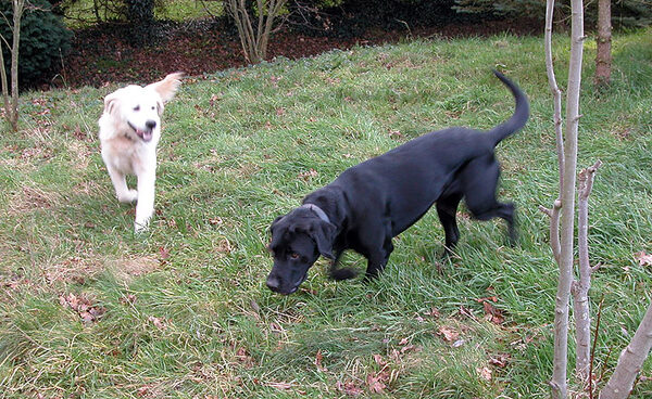 Playing Together