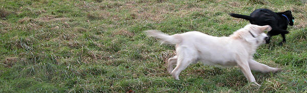 Running