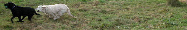Running