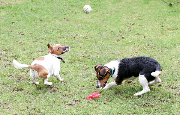 Sally Looking Up, Jake Looking Down