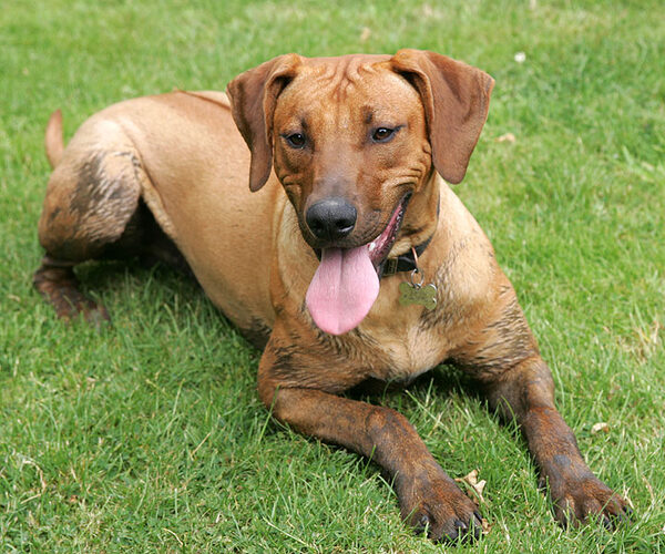 A Little Bit of Mud