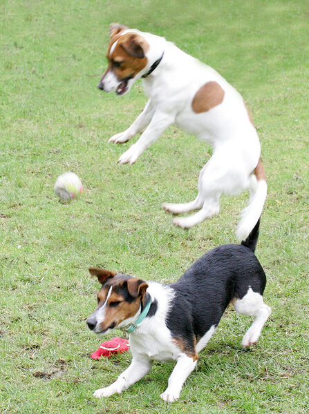 Sally and Jake Playing Ball