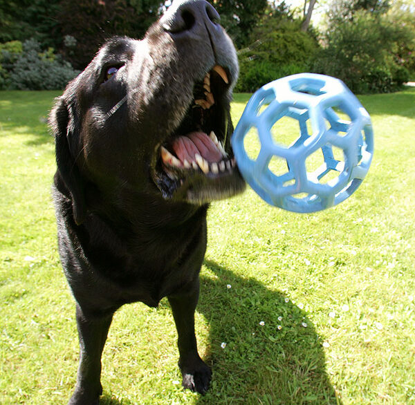Hey, Cole --- Catch...!