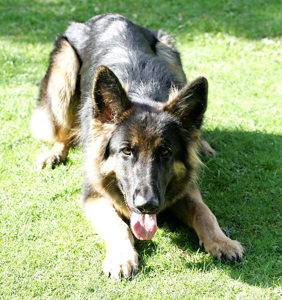 George -- Ready to Play Catch