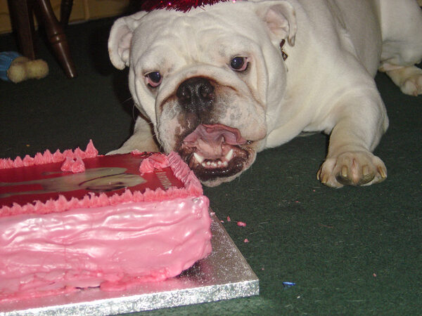 Yeah, I know, I've got my mouth full.  Well, it is my birthday