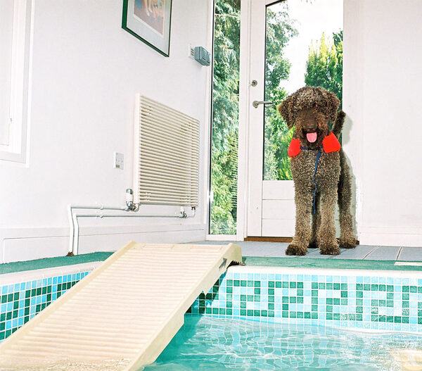 Elvis in His Life Preserver
