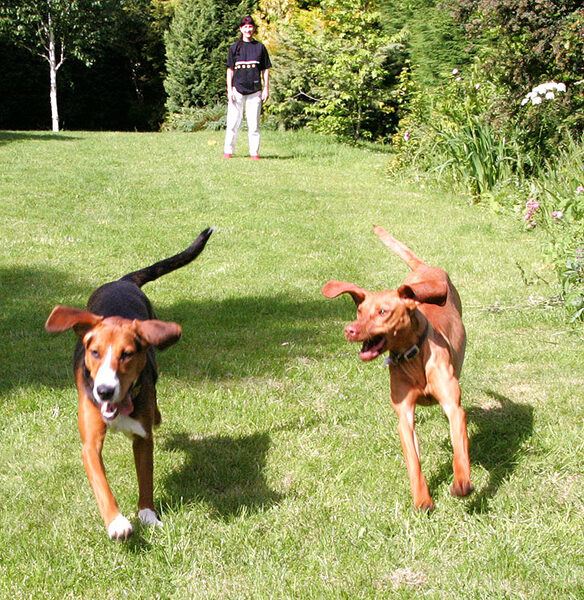 Jessie and Pippa Playing Catch