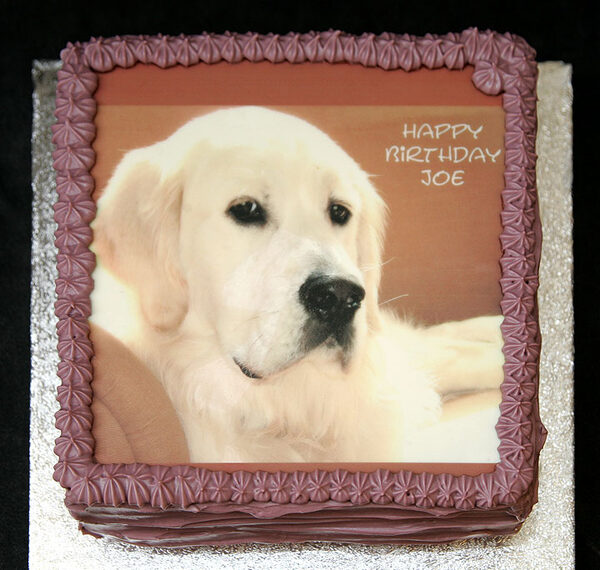 Joe's Birthday Cake