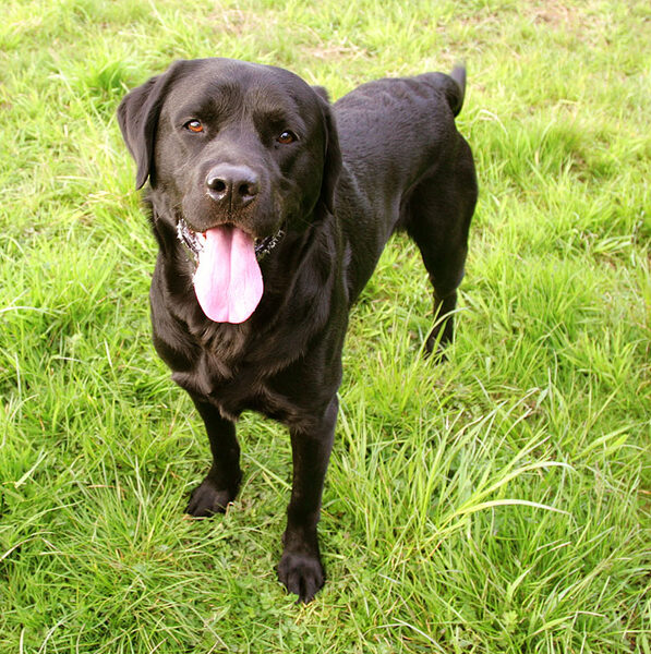 Otis Looking Cute