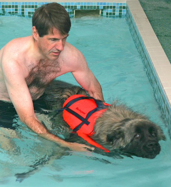 Oscar Having A Swim
