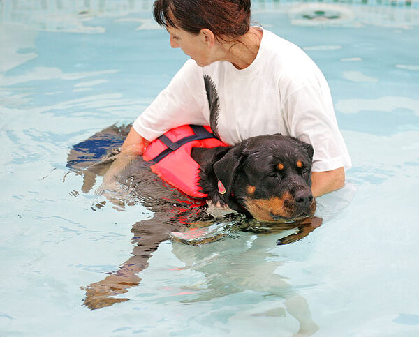 Missy Enjoying Her Afternoon Swim