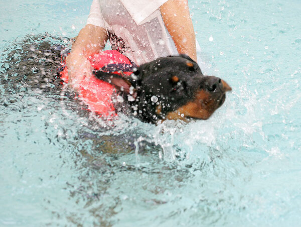 Ronan "Rotating" In The Pool