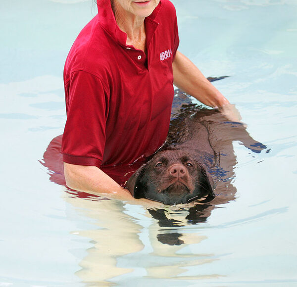 Holly Having A Swim