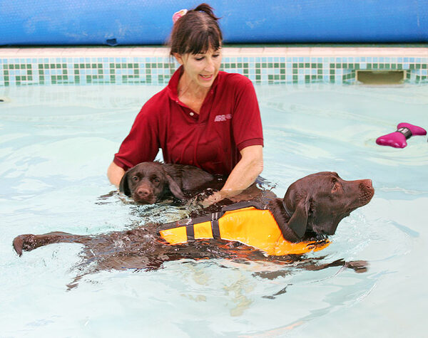 Marjorie, Holly, and Branston