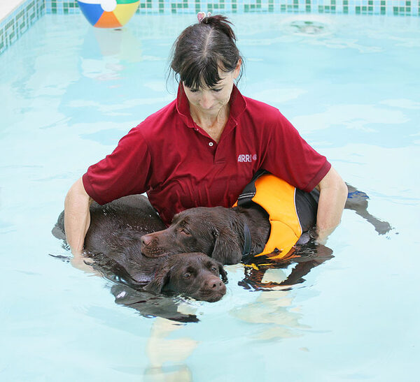 Holly and Branston Swimming Together